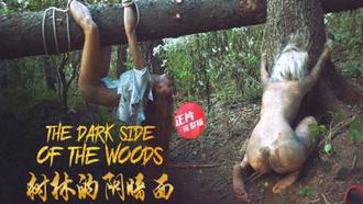 树林的阴暗面-树林深处可能充满痛苦