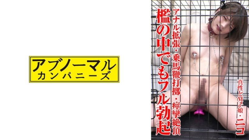 SACZ-431 尼可 1